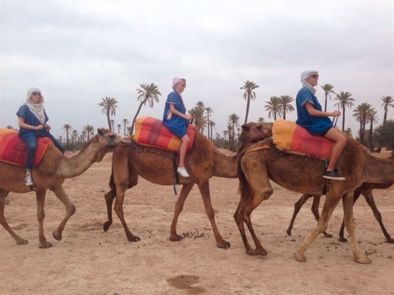 From Marrakech: Camel Ride, Quad Bike & Spa Full-Day Trip - The Cultural and Authentic Touches