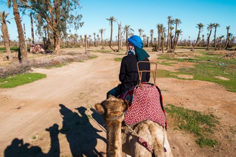 From Marrakech: Camel Ride, Quad Bike & Spa Full-Day Trip - The Spa Experience: A Highlight for Many
