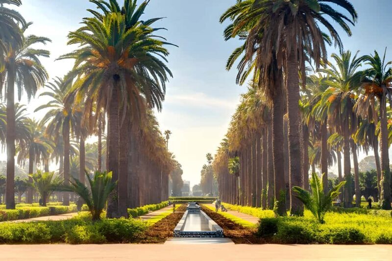 From Marrakech: Casablanca Day Trip by van - Who Will Appreciate This Tour?