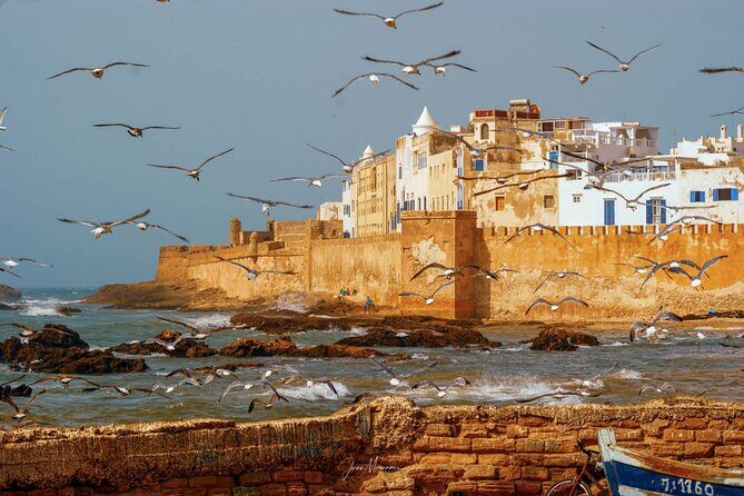 From Marrakech: Day Journey to Essaouira Mogador - The Sum Up: Is This Tour Right for You?