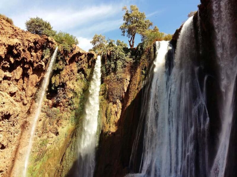From Marrakech: Day Tour to Ouzoud Waterfalls - Key Points