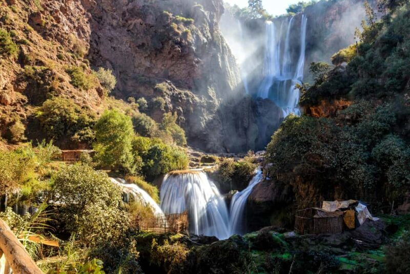 From Marrakech: Day Tour to Ouzoud Waterfalls - What the Reviews Say