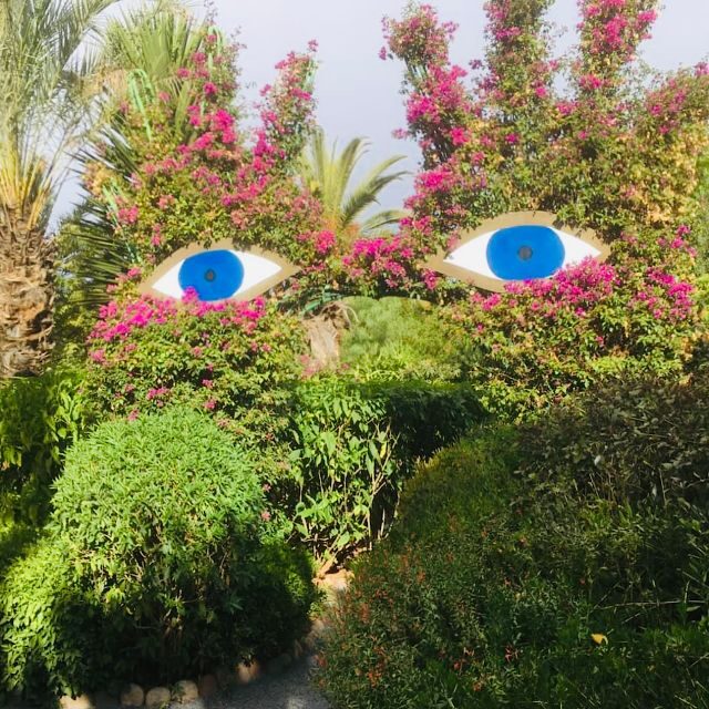 From Marrakech: Day Trip to Anima Garden and Imlil Valley - What to Expect on This Day Trip from Marrakech