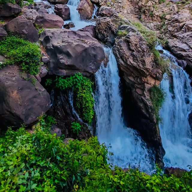 From Marrakech: Day Trip to Anima Garden and Imlil Valley - Who Is This Tour Best For?