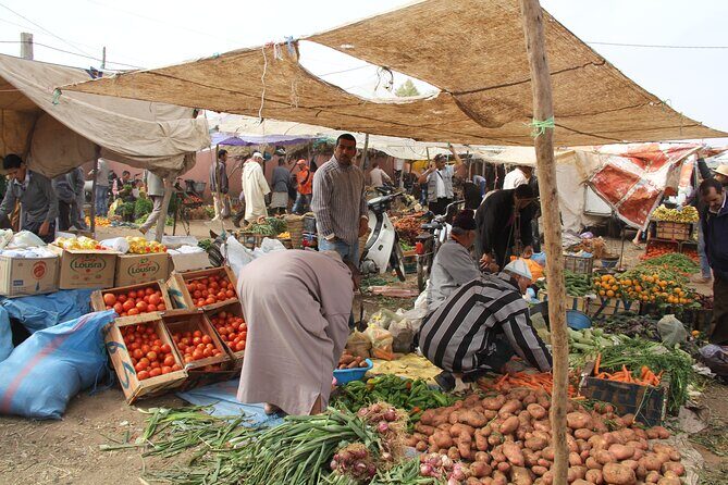 From Marrakech : Day Trip to Atlas Mountains with Camel Ride - Introduction: Why Consider This Tour?