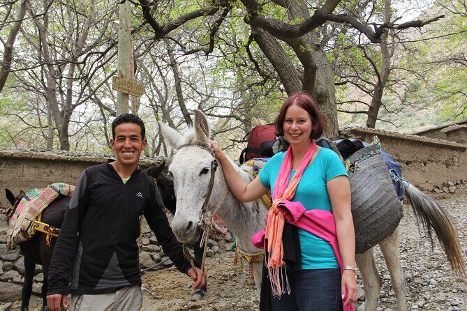From Marrakech : Day Trip to Atlas Mountains with Camel Ride - Pricing and Value