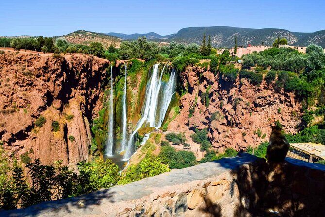 From Marrakech: Day Trip to Ouzoud Waterfalls Guided & Boat Ride - Cost and Value