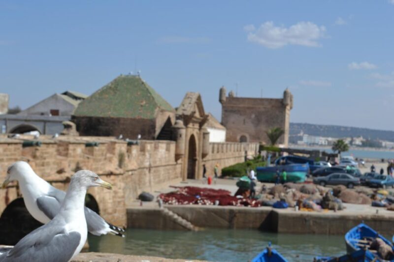 From Marrakech: Day Trip to the Coastal Town of Essaouira - The Full Journey: What to Expect