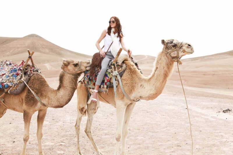 From Marrakech : Desert Agafay Camel Ride & Dinner - Introduction: Why Consider This Tour?