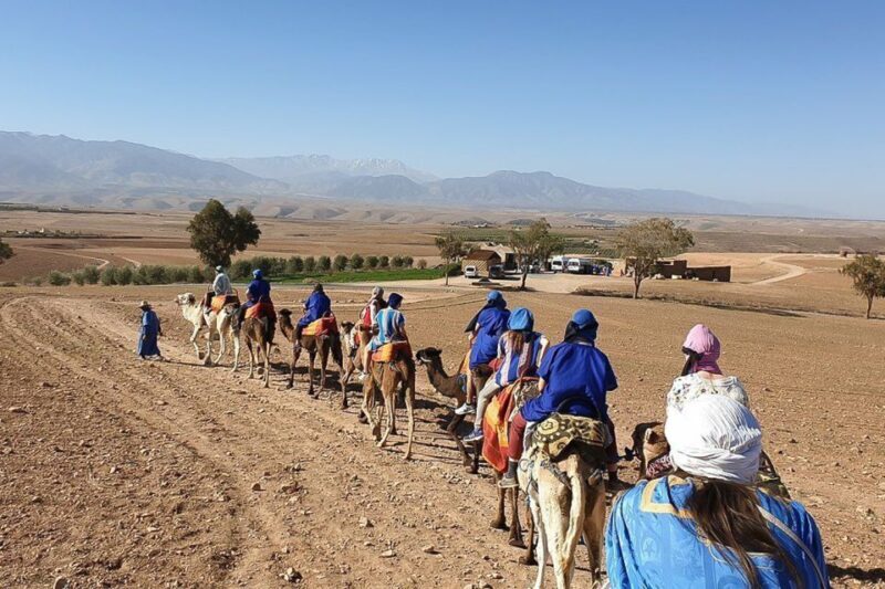 From Marrakech : Desert Agafay Camel Ride & Dinner - What’s Included and What’s Not