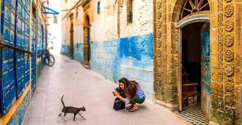 From Marrakech : Essaouira 01 day trip & argan cooperative - The Sum Up
