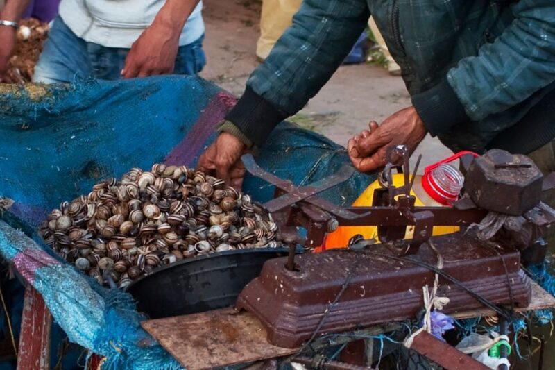 From Marrakech: Essaouira & Atlantic Coast Full-Day Trip - Portside Lunch & Seafood Delights