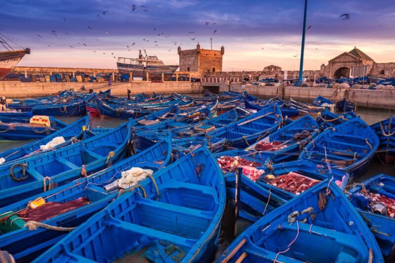 From Marrakech: Essaouira & Atlantic Coast Full-Day Trip - The Argan Oil Cooperative & Cultural Insights