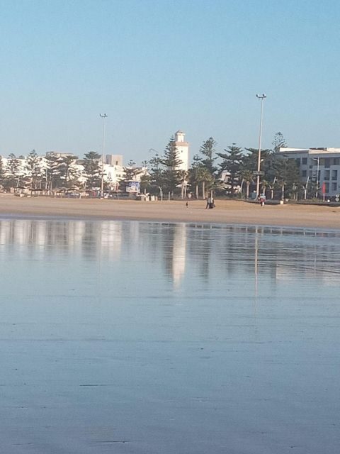 From Marrakech: Essaouira Coastal City Day Trip - Who Is This Tour Best For?