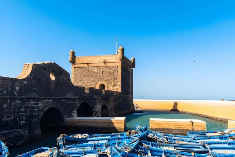 From Marrakech: Essaouira day Trip with camel, horse & quad - What This Tour Means for You