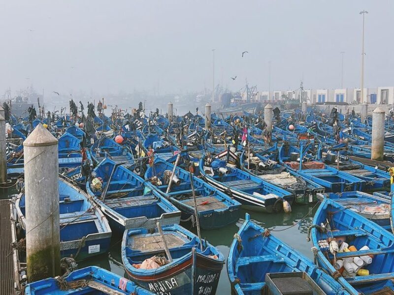 From Marrakech: Essaouira Day Trip with Hotel Pickup - Authenticity and Value: What Do Travelers Say?