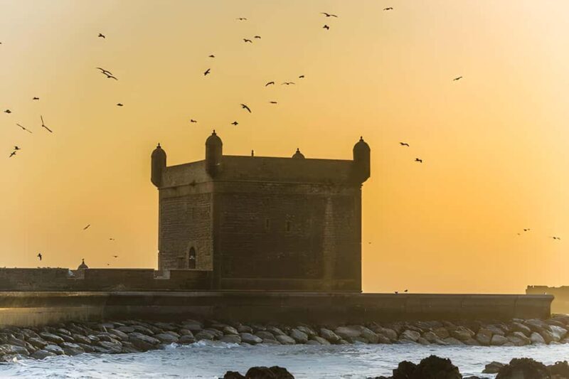 From Marrakech: Essaouira Full-Day Trip with Activities - FAQs