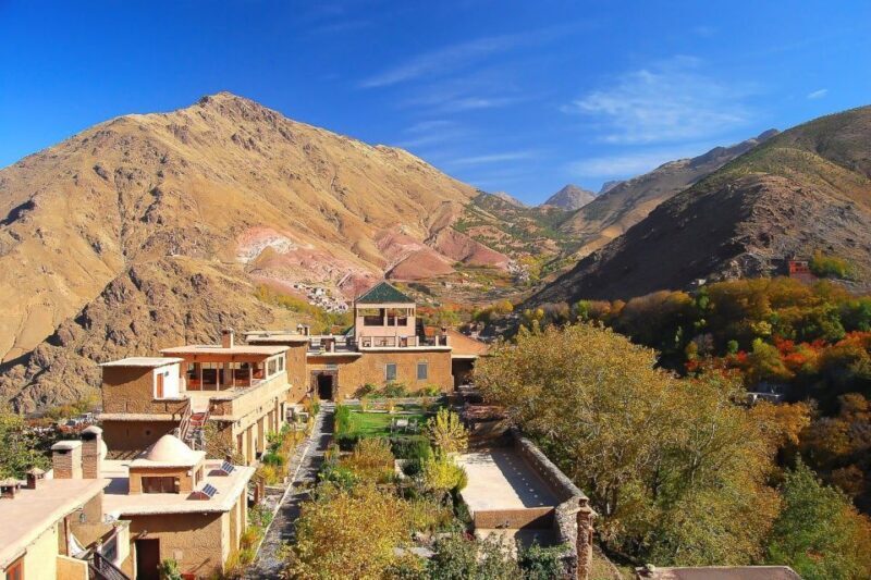 From Marrakech: Full-Day Atlas Mountain Berber Tour - First Stop: Argan Oil Cooperative