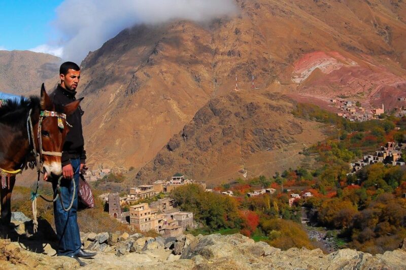 From Marrakech: Full-Day Atlas Mountain Berber Tour - Trekking Through the High Atlas