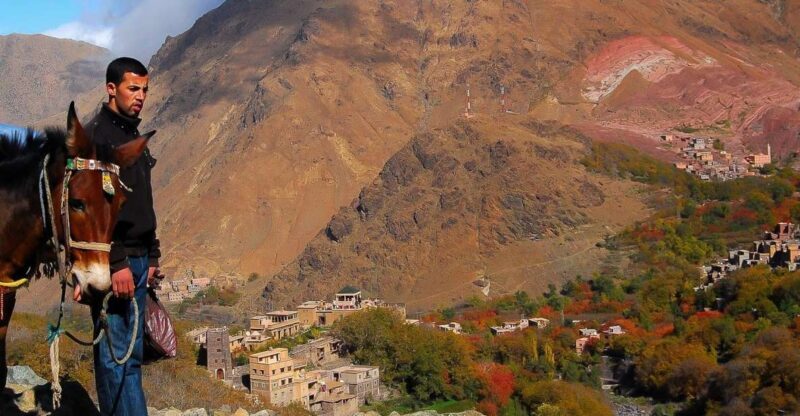 From Marrakech: Full-Day Atlas Mountain Berber Tour - Practical Details & What to Bring