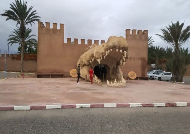 From Marrakech: Full-Day Trip to Agadir - Authenticity and Local Flavor