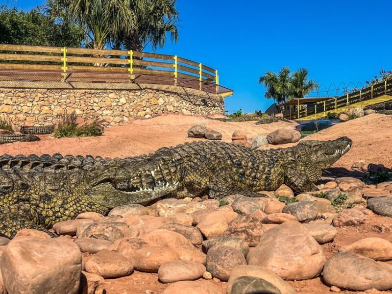 From Marrakech: Full-Day Trip to Agadir - Who Should Consider This Tour?