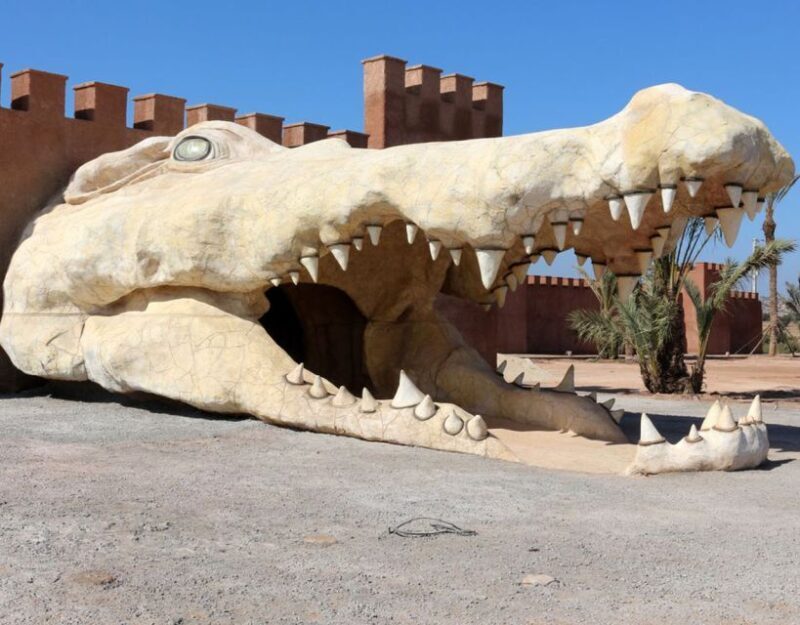From Marrakech: Full-Day Trip to Agadir - Frequently Asked Questions