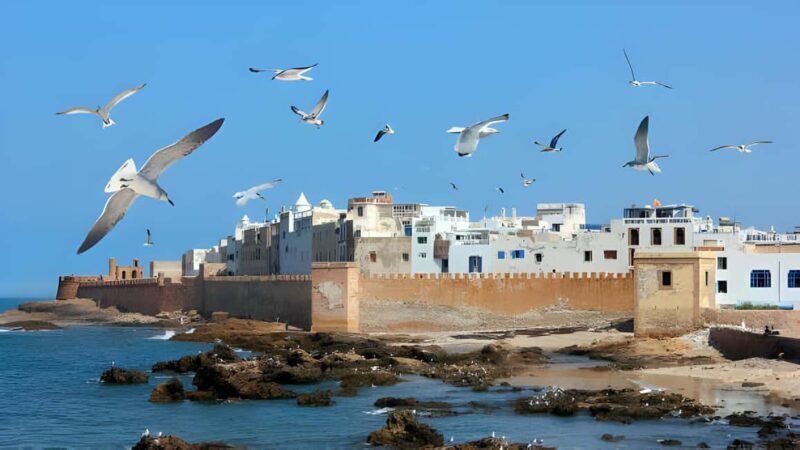 From Marrakech : Full Day Trip to Essaouira - Exploring the Itinerary: What to Expect on the Day