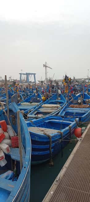 From Marrakech : Full Day Trip to Essaouira - What Reviewers Say