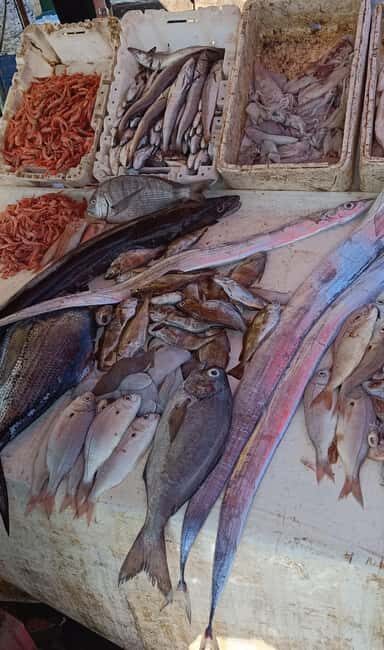 From Marrakech : Full Day Trip to Essaouira - Final Thoughts: Is This Tour for You?