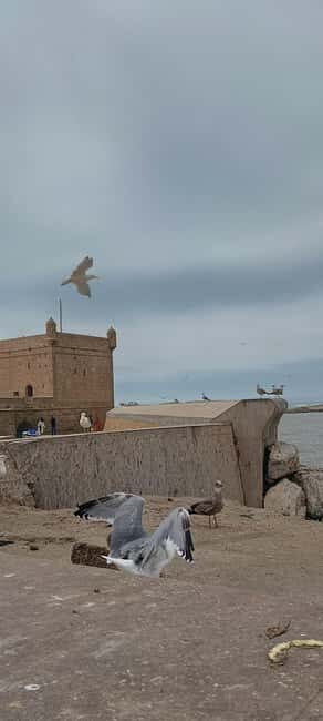 From Marrakech : Full Day Trip to Essaouira - FAQs