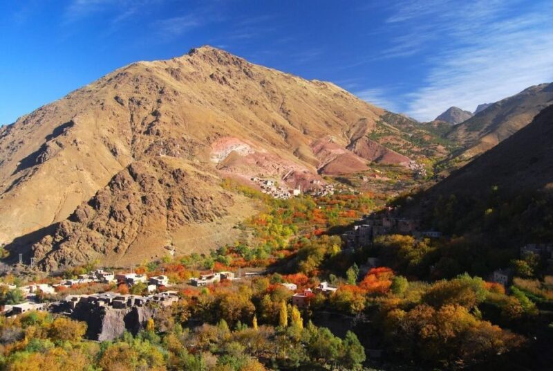 From Marrakech: High Atlas Berber Cooking Class - Practical Tips for Travelers