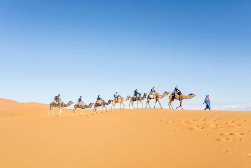 From Marrakech: Kasbahs, Gorges & Merzouga Desert Trip 3 day - The Sum Up