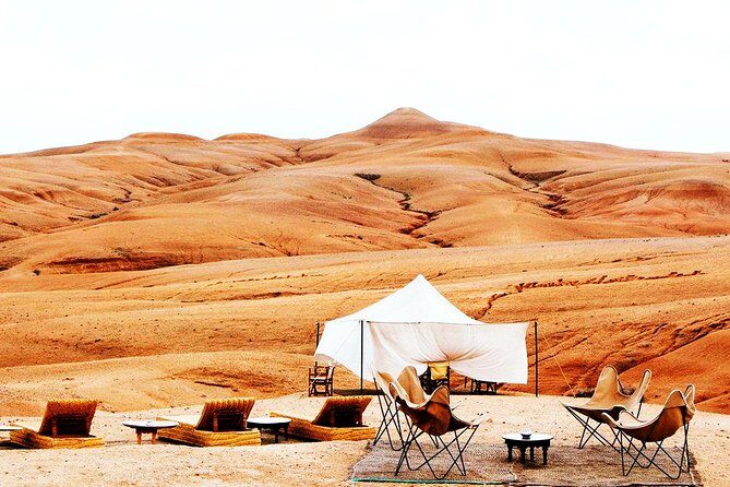 From Marrakech: Magical Dinner In Agafay Desert Under the Stars - Who Will Love This Tour?