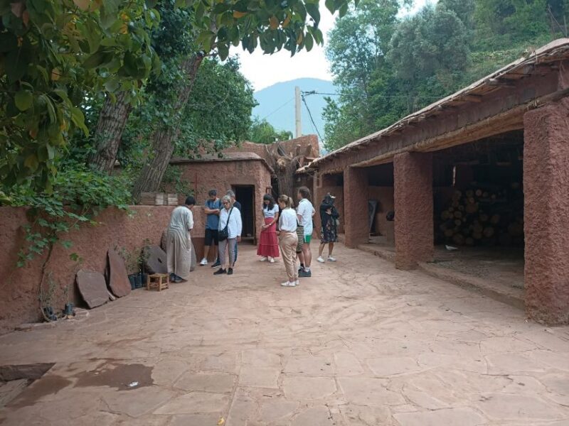 From Marrakech: Ourika Valley and Atlas Mountains Day Tour - What Makes This Tour Valuable?