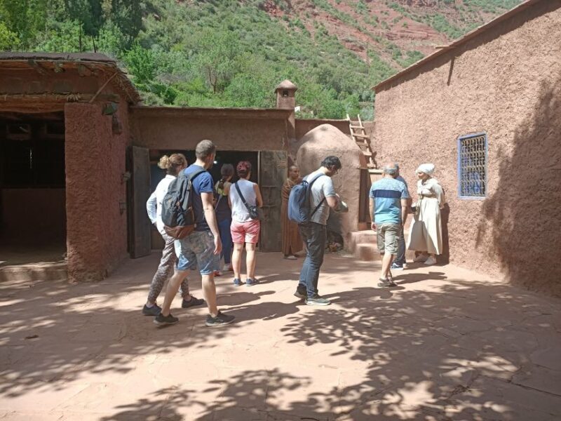 From Marrakech: Ourika Valley and Atlas Mountains Day Tour - The Sum Up