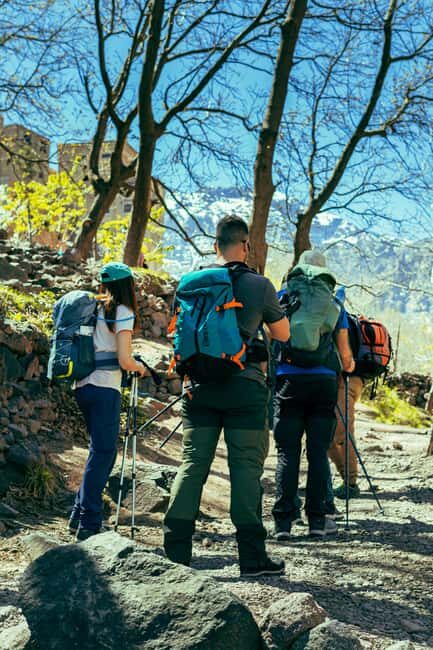 From Marrakech: Ourika Valley and Setti Fatma Day Trip - The Waterfalls and Optional Walks