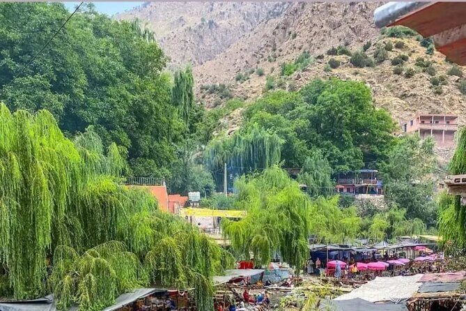 From Marrakech: Ourika Valley, Atlas, Waterfalls & Guide - Visit to an Argan Oil Cooperative