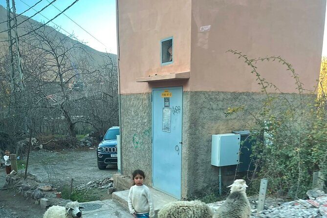 From Marrakech: Ourika Valley, Atlas, Waterfalls & Guide - The Return Journey and Drop-Off