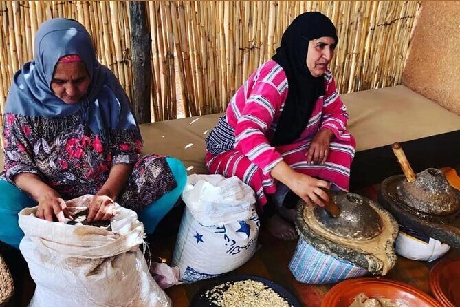 From Marrakech: Ourika Valley, Atlas, Waterfalls & Guide - The Real Value of the Tour