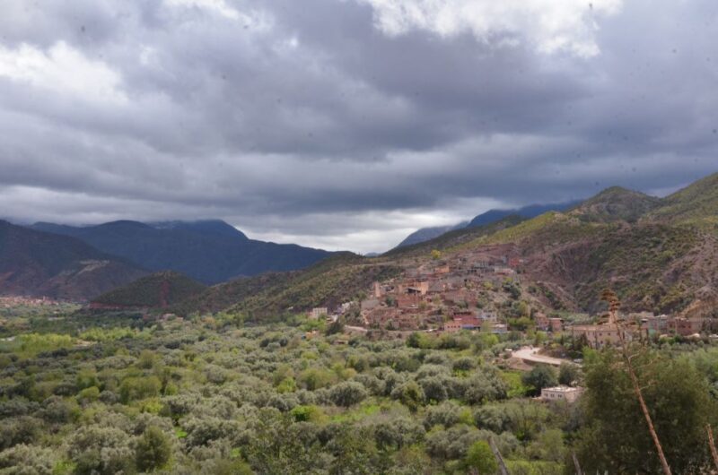 From Marrakech: Ourika Valley Day Trip with Lunch - Authentic Berber Lunch and Argan Oil Co-op