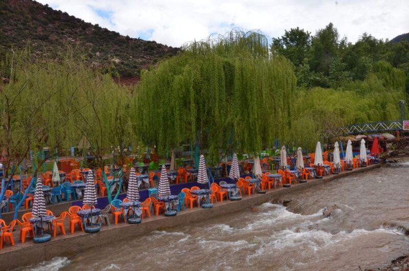 From Marrakech: Ourika Valley Day Trip with Lunch - The Value Proposition