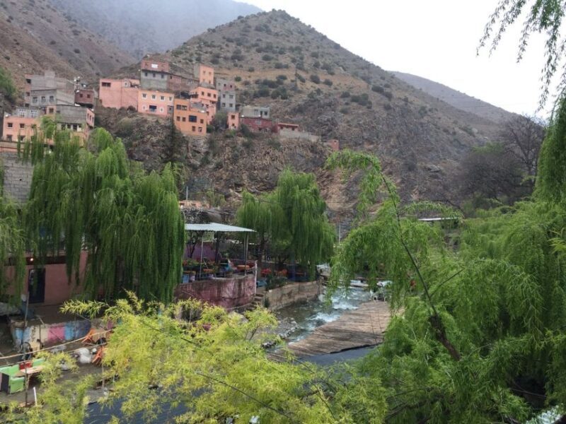 From Marrakech: Ourika Valley Day Trip with Lunch - Who Will Love This Tour?