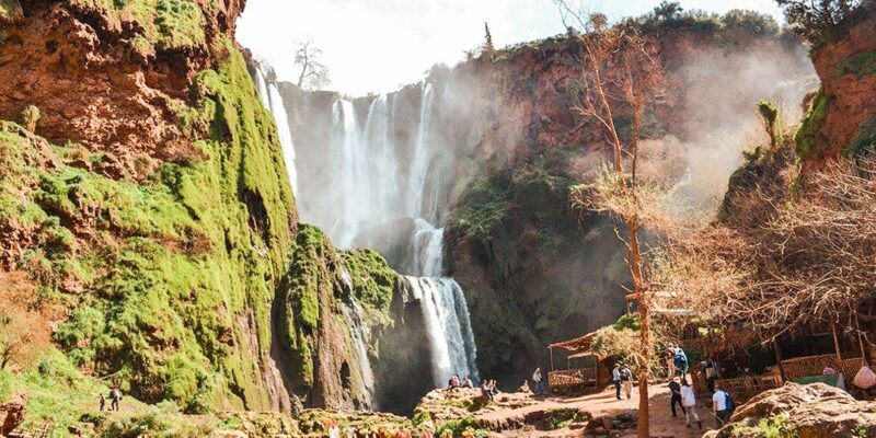 From Marrakech: Ouzoud Waterfalls Guided Tour & Boat Ride - Food and Rest Breaks: Local Flavors and Relaxation