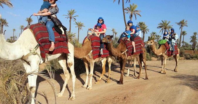 From Marrakech: Palm Grove Quad Bike and Camel Ride Tour - Exploring the Marrakech Palm Grove Quad Bike and Camel Ride Tour