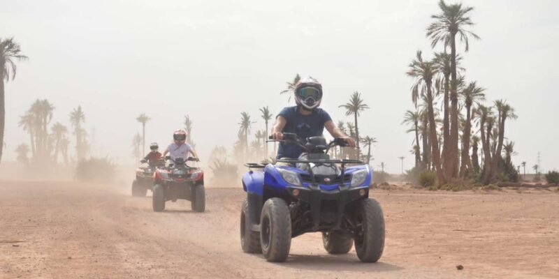 From Marrakech: Palm Grove Quad Bike Tour with Mint Tea - The Sum Up
