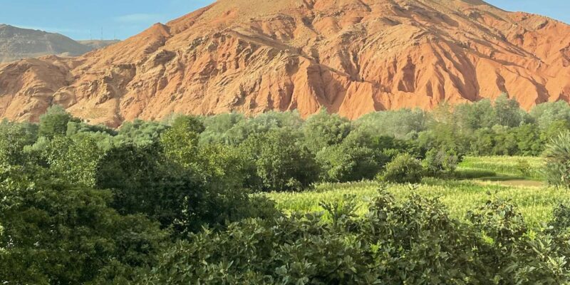 From Marrakech: Private 4-Day Tour to Magic Desert Merzouga - The Sum Up: Who Is This Tour Best For?
