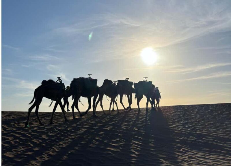 From Marrakech: Private 5-Day Zagora & Merzouga Desert Tour - Who Would Enjoy This Tour?