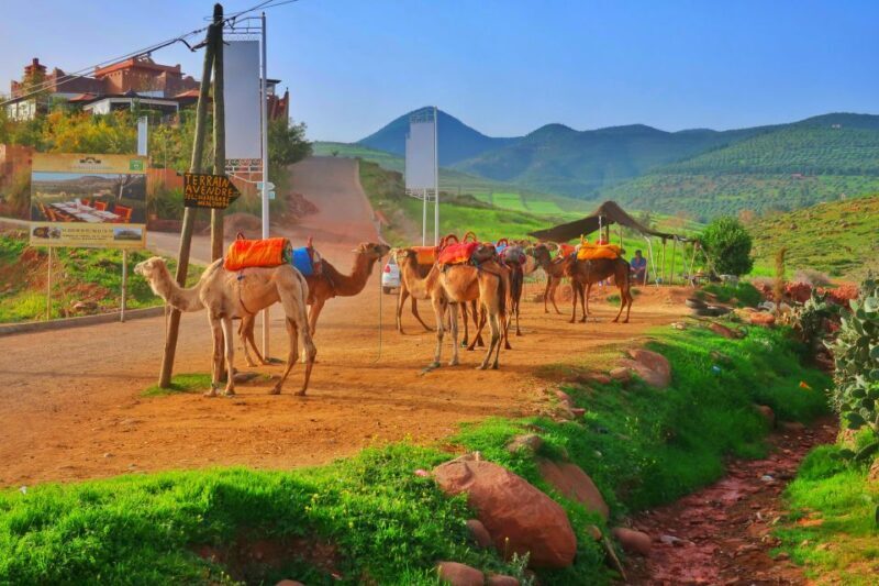 From Marrakech: Private Atlas Mountains Day Trip - An In-Depth Look at the Trip