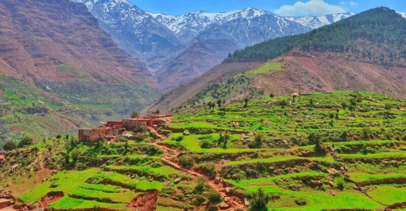 From Marrakech: Private Atlas Mountains Day Trip - Who Should Consider This Tour?